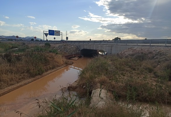 Controversia en la propuesta de desviar parte de las aguas de la rambla de Abanilla por la zona norte de la Vega Baja