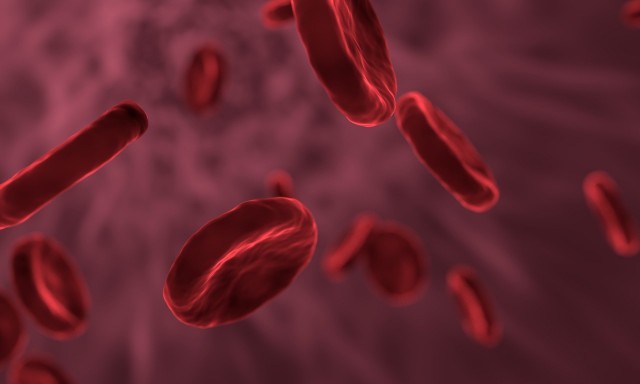 El CSIC desarrolla nanosondas con aplicaciones en el diagnóstico y tratamiento de enfermedades
