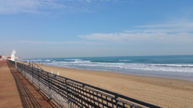 Dos playas de Orihuela y Pilar de la Horadada recuperan la bandera azul; el puerto de Santa Pola, la pierde