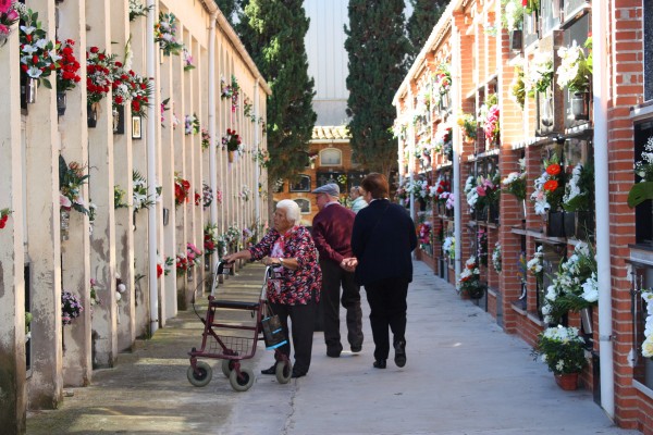 Almassora adjudica la ampliación del cementerio municipal por 175.000 euros