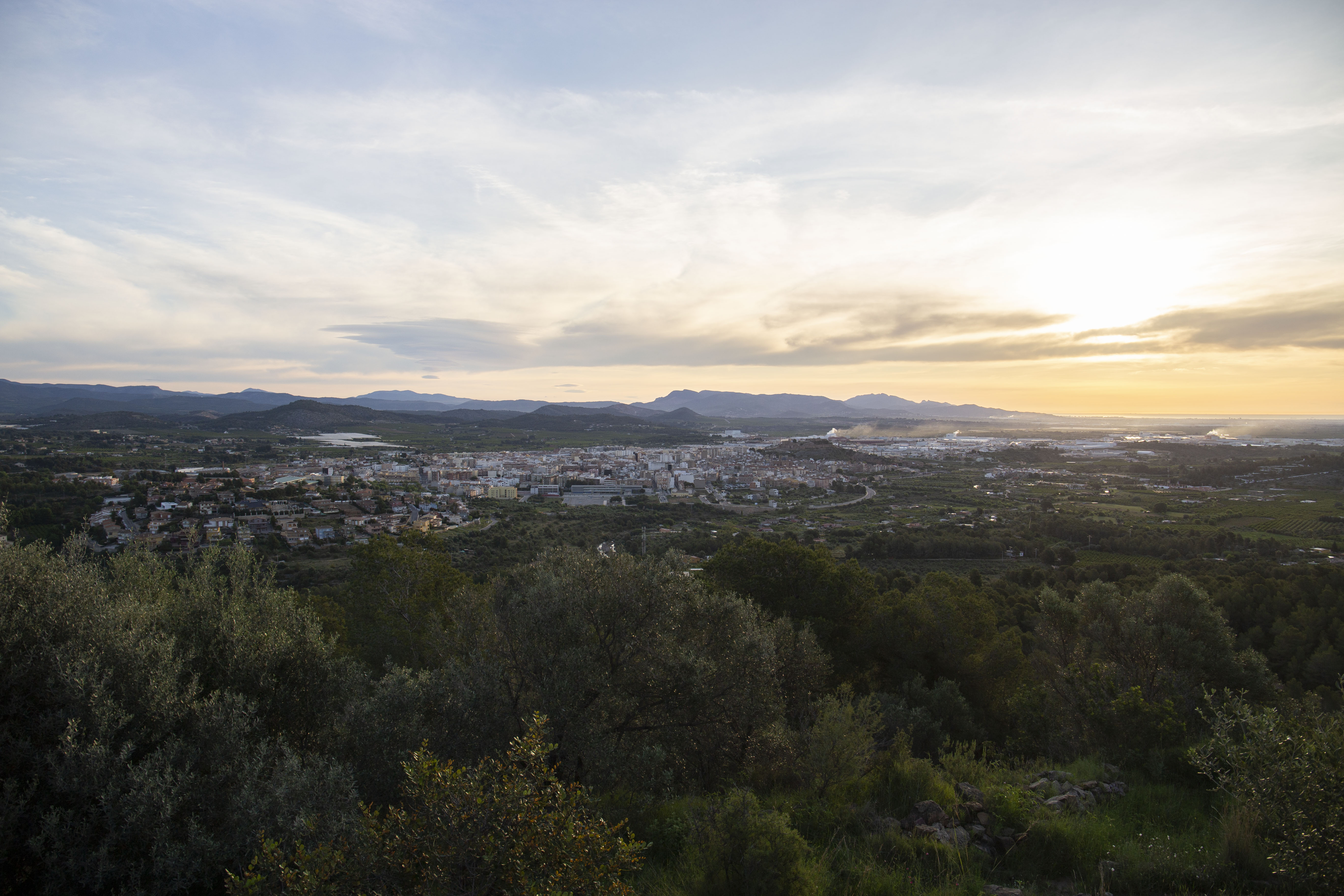 Onda se adhiere al Pacto Verde Europeo para impulsar políticas económicas sostenibles 