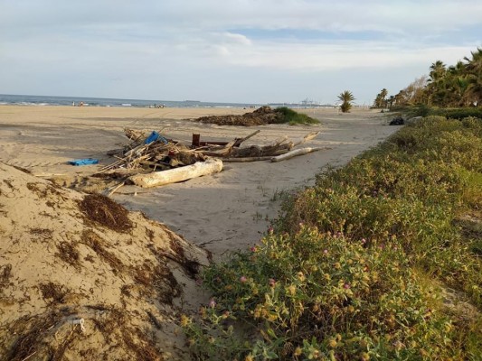 Carrasco (PP) pide saber cuándo abrirán los negocios de playas en Castelló y qué medidas de seguridad aplicarán