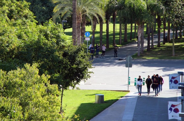 Nace la cátedra de nueva transición verde entre las cinco universidades públicas valencianas