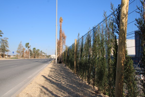 El Puerto de Alicante reivindica su compromiso para hacer frente a los retos medioambientales 
