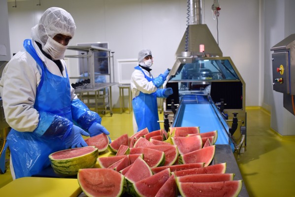 Grupo Citrus (Agromediterránea) consolida su crecimiento un 5% por la apuesta internacional