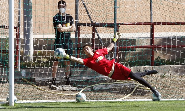 Castillo: 