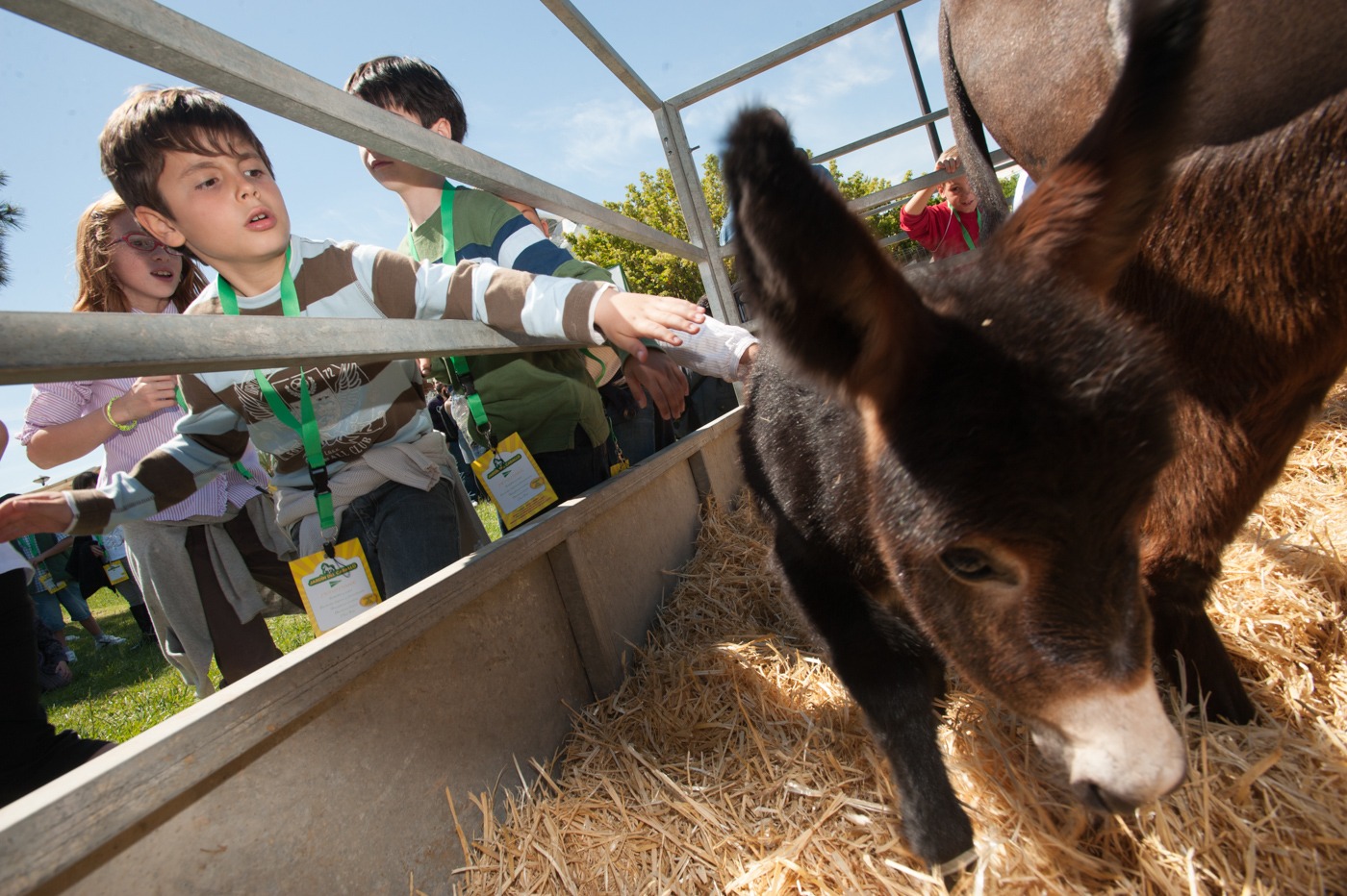 Foto: KIKE TABERNER - 