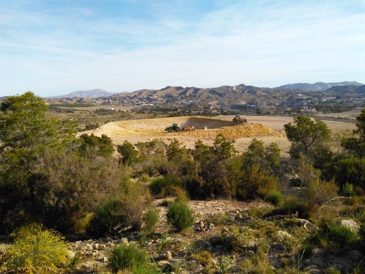 Margalló considera “muy poco ambiciosa” la Ordenanza Municipal del Camp d’Elx y presenta alegaciones al texto