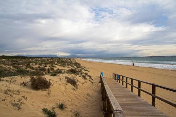El PP de Elche lamenta la apertura de las playas sin servicio de socorrismo ni salvamento
