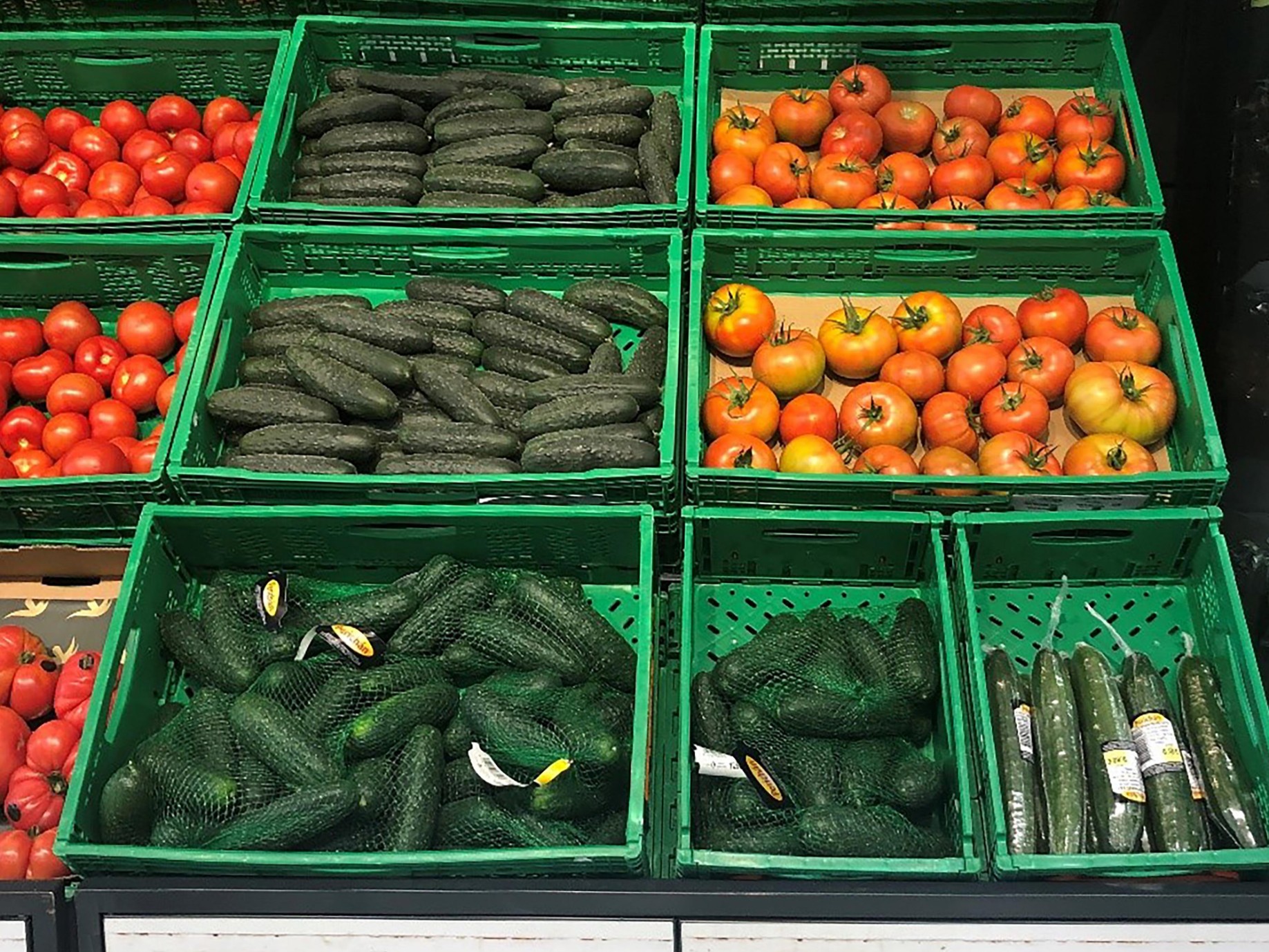 Mercadona incrementa un 4% las compras de pepino nacional hasta las 21.300 toneladas