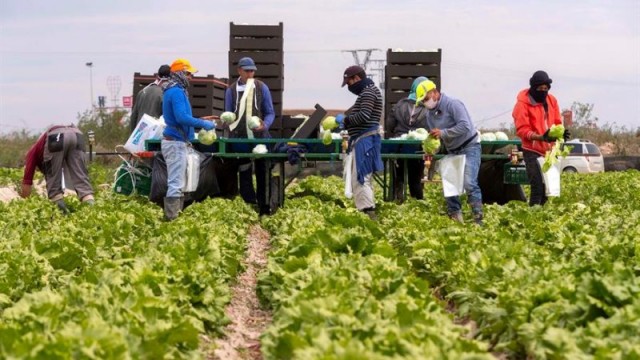 Las exportaciones agrícolas baten nuevo récord con 2,5 millones de toneladas y más de 2.500 millones en un año