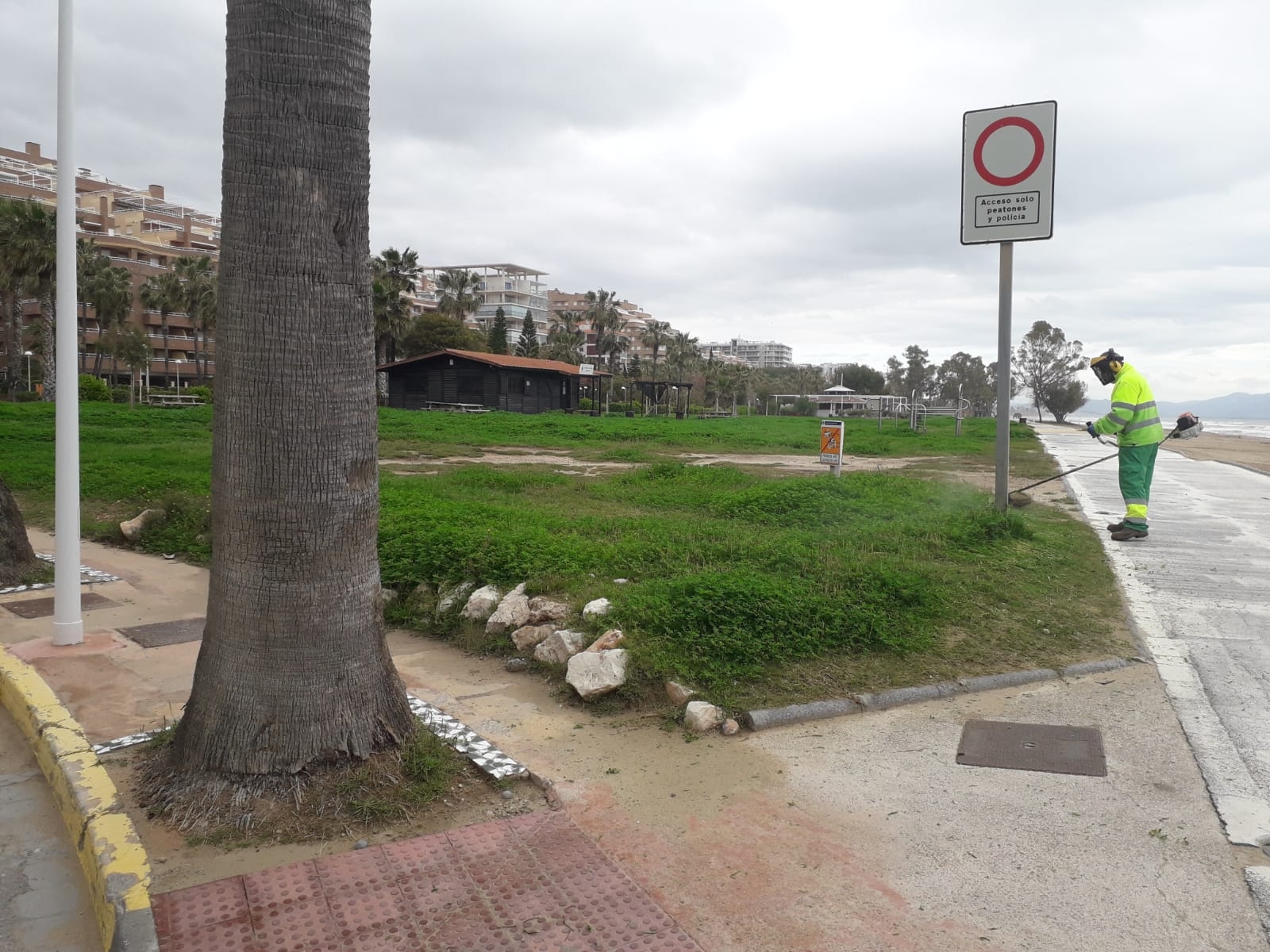 Oropesa retoma el mantenimiento de sus jardines públicos con el avance en la desescalada