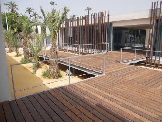 Elche da oxígeno a la empresa del Instituto de la Palmera: deberá crear palmeras in vitro en 2021
