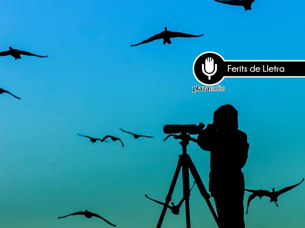 Ferits de Lletra: Pardalejar, l'apassionada observació de les aus
