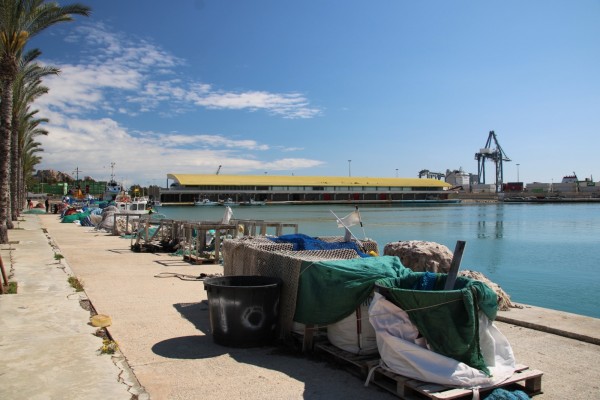 El Puerto licita las obras de refuerzo en la dársena pesquera por 2 millones para relanzar la economía