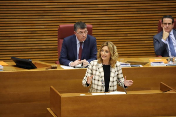 Cs pide en Les Corts una comisión de investigación sobre la gestión en las residencias ante la covid-19