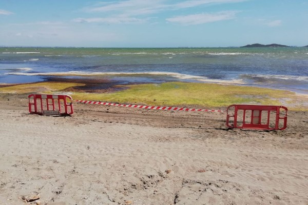 Cerrados ocho puntos de baño en Los Urrutias y Punta Brava por la presencia de fangos