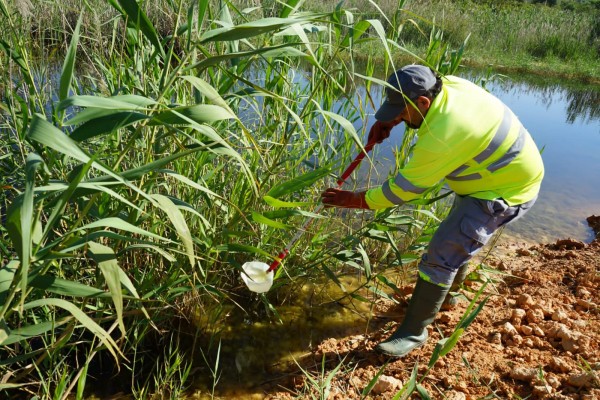 Lokímica se refuerza para combatir a los mosquitos y reducir el riesgo de transmisión de enfermedades

