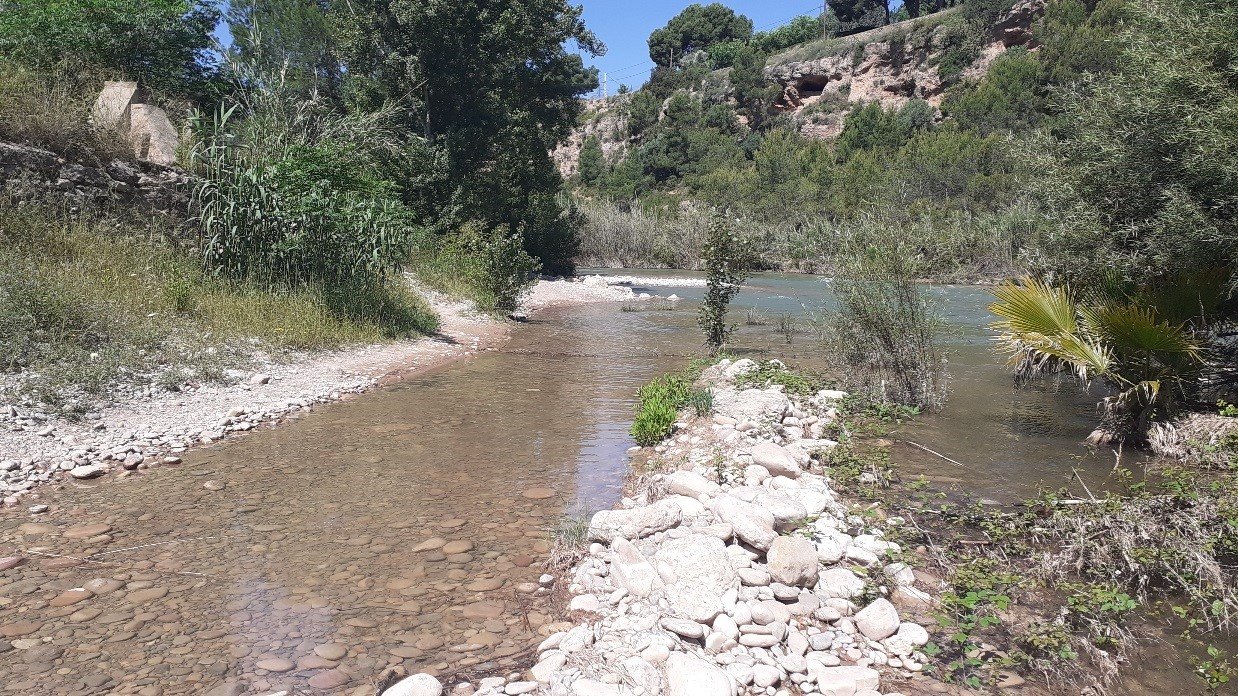 El Consorcio del Millars reparará el tramo de senda dañado por la crecida del río