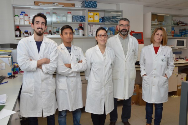 Científicos de la UCV investigan el genoma del SARS-Cov-2 para desarrollar fármacos