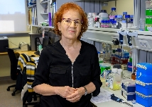 La viróloga del CSIC Margarita del Val será investida Doctora Honoris Causa por la UMH