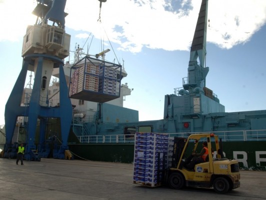 AVA-Asaja confirma que las mandarinas y naranjas castellonenses pierden el mercado estadounidense