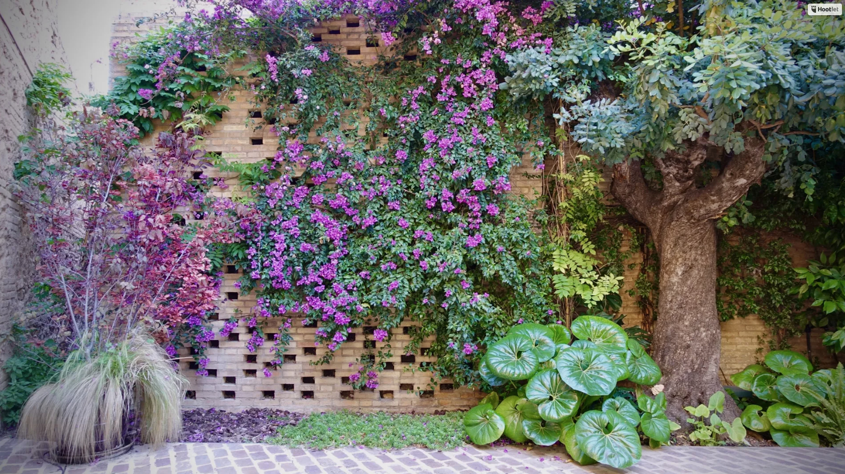 Ricard Camarena regresa con una nueva experiencia en el jardín