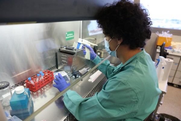 España registra un aumento de las muertes diarias por coronavirus con 95 más en las últimas 24 horas

