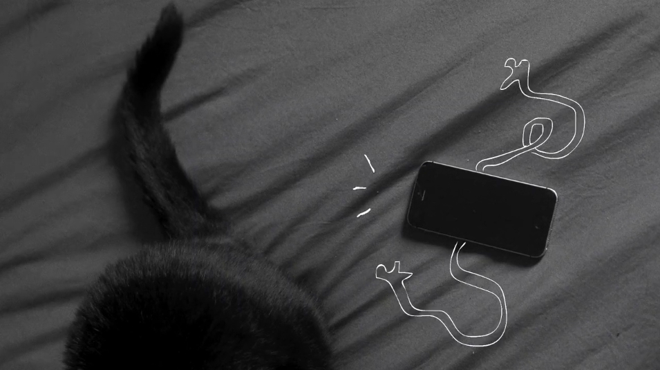 Confesiones de un teléfono móvil en cuarentena