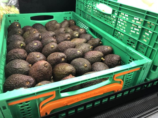 Mercadona adquiere 7.100 toneladas de aguacate de origen nacional para la campaña de 2020