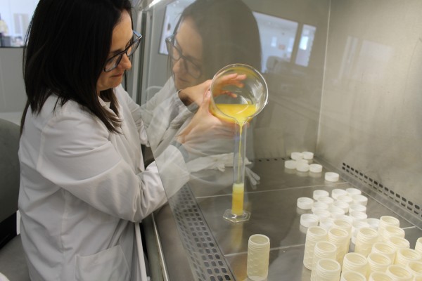 Los Institutos Tecnológicos han coordinado el 51% de los proyectos presentados al programa europeo LIFE en la Comunitat Valenciana