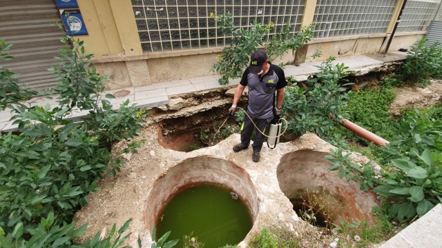 CTL fumiga las excavaciones del Mercado Central por la proliferación de 
mosquitos tras denuncias vecinales