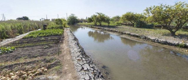 Castelló pone en marcha el trámite electrónico para solicitar el permiso sobre quemas agrícolas

