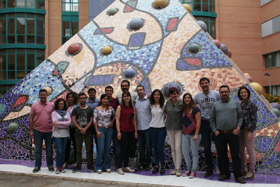 Imagen del equipo de investigación del proyecto en el que participa la UJI. - 