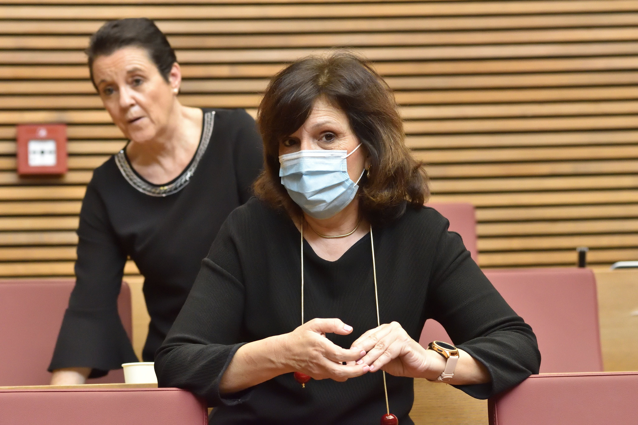 La diputada del PSPV, Carmen Martínez. Foto: CORTS - 