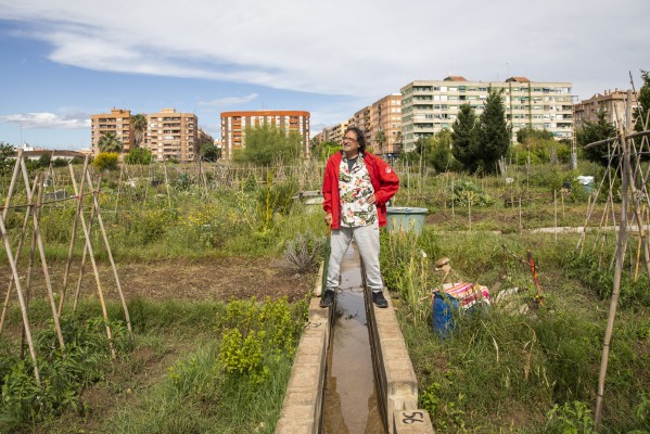 
Así se han apañado los horticultores urbanitas durante el confinamiento
 
