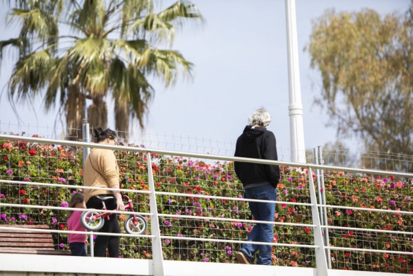El Consell solicita al Gobierno que el resto de la Comunitat pase a la Fase 1 aunque con restricciones