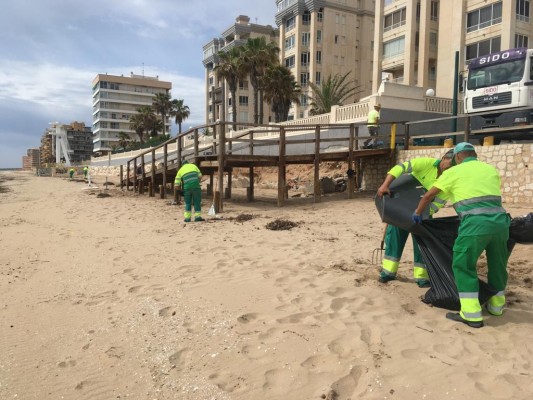 Elche trabaja en el acondicionamiento de sus playas para cuando se permita su apertura