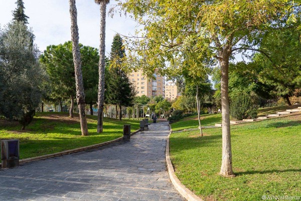 Cartagena contará con un Plan de Movilidad que fomente los espacios para peatones y bicicletas