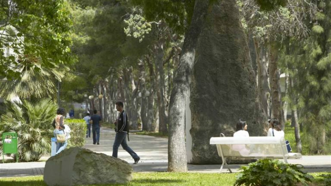 Vista del campus de la UA, de cuya jardinería se encarga IP Garden. Foto: UA - 