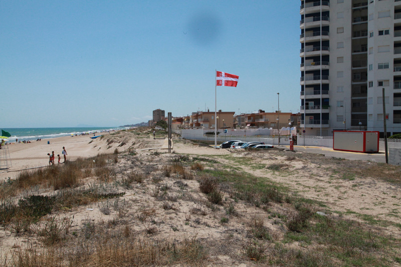Medi Ambient recorda la prohibició de passejar sobre les dunes davant el perill que suposa per a les espècies protegides