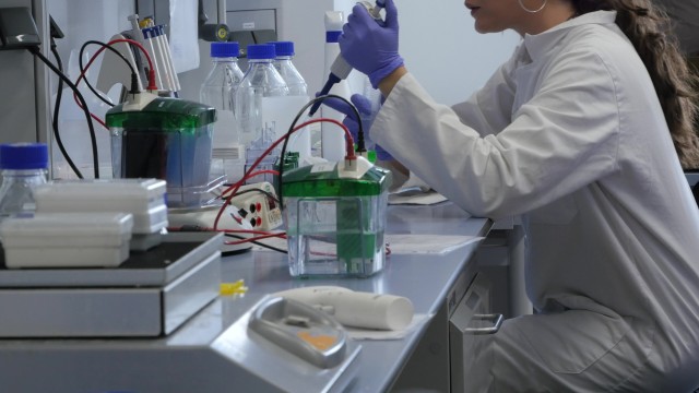  El Instituto Murciano de Investigación Biosanitaria ya puede hacer pruebas PCR