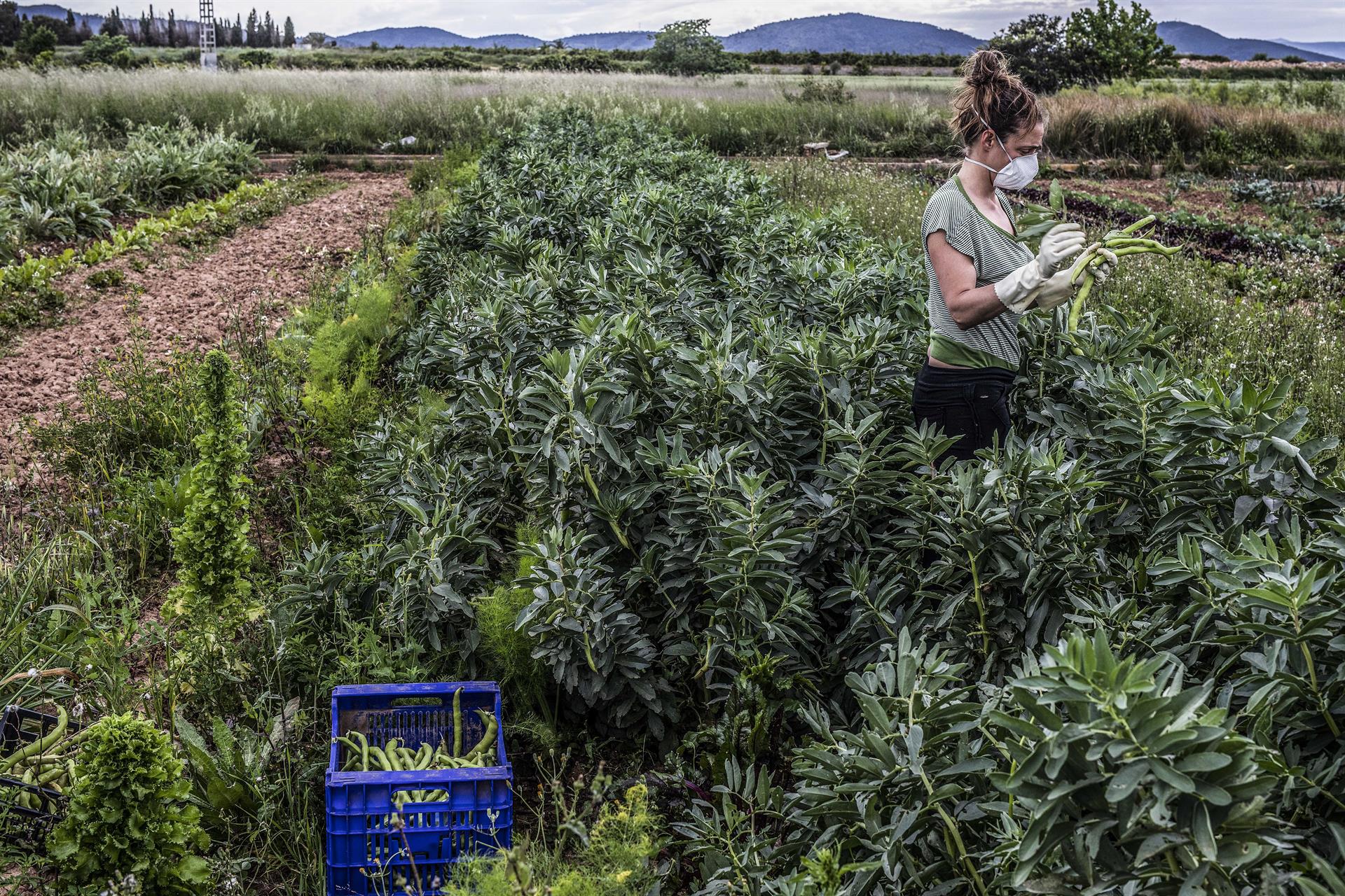 Foto: ROBER SOLSONA (EP) - 