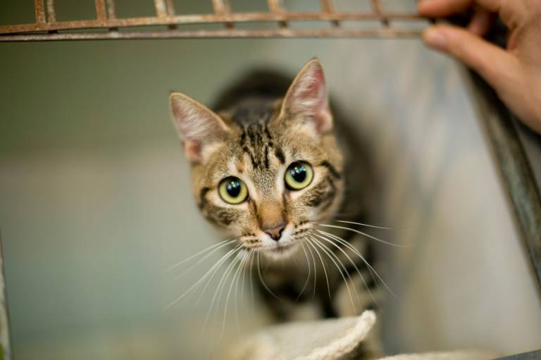 Foto: KIKE TABERNER - 