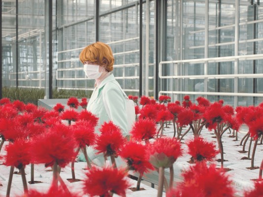Las Entendidas: Lo mejor del D’A Film Festival Barcelona