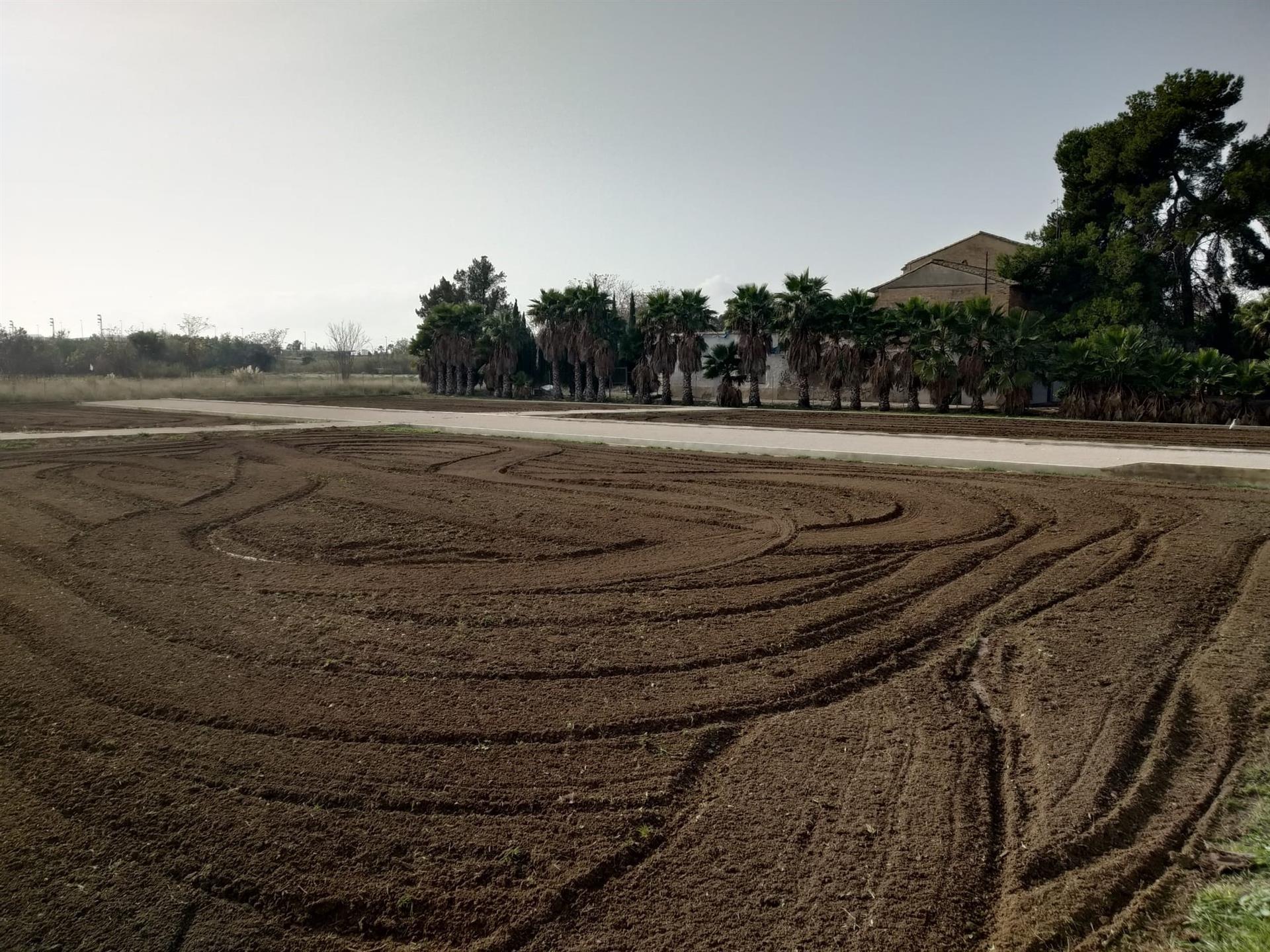 Foto: AJUNTAMENT DE VALÈNCIA - 