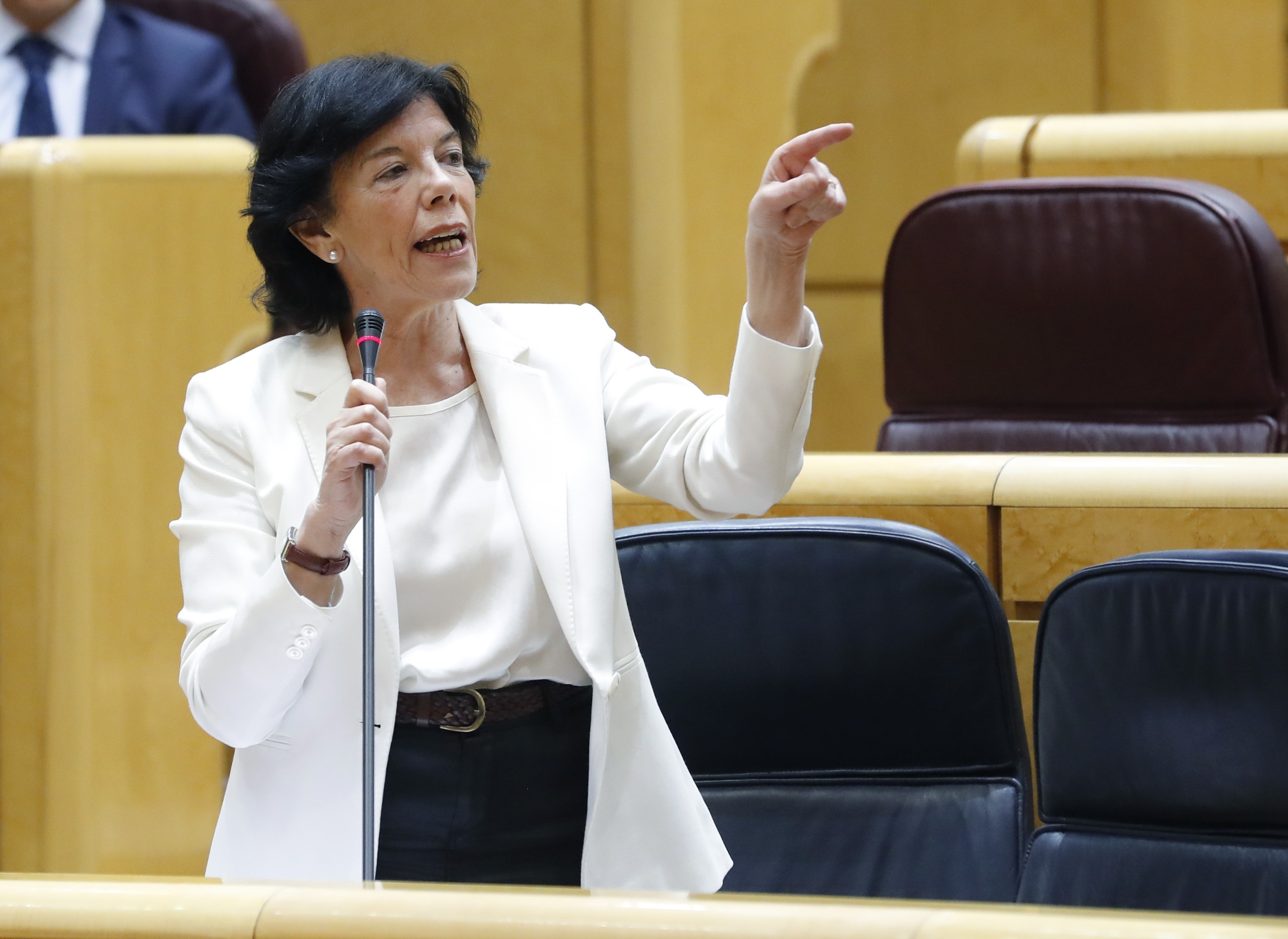 Isabel Celaá durante su intervención en el Senado. Foto: POOL - 
