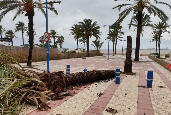 Cartagena repondrá con pérgolas, pasarelas, lavapiés y papeleras los accesos a playas por 125.000 euros
