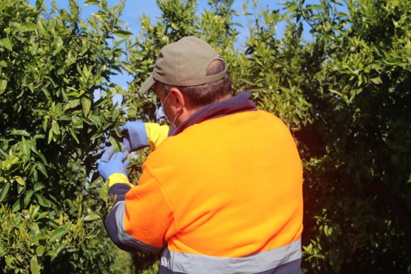 Onda suscribe un convenio con Fepac-Asaja para reforzar el servicio a agricultores y ganaderos

