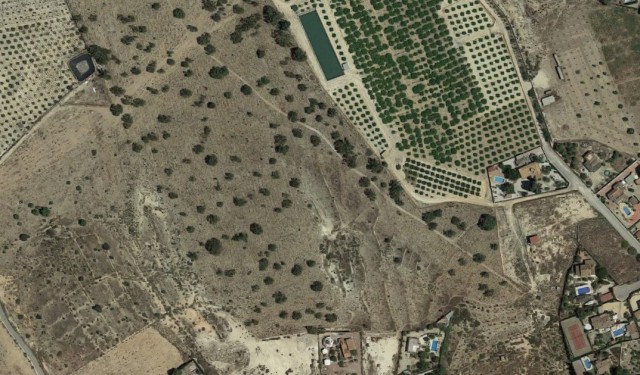 Política Territorial denegó a finales de 2019 la construcción de un camping turístico en Balsares, Elche